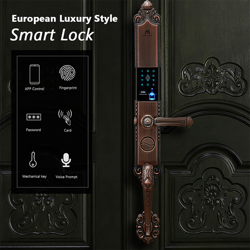 One-stop solution Front door l - Smart Door Lock Wifi recension och pris